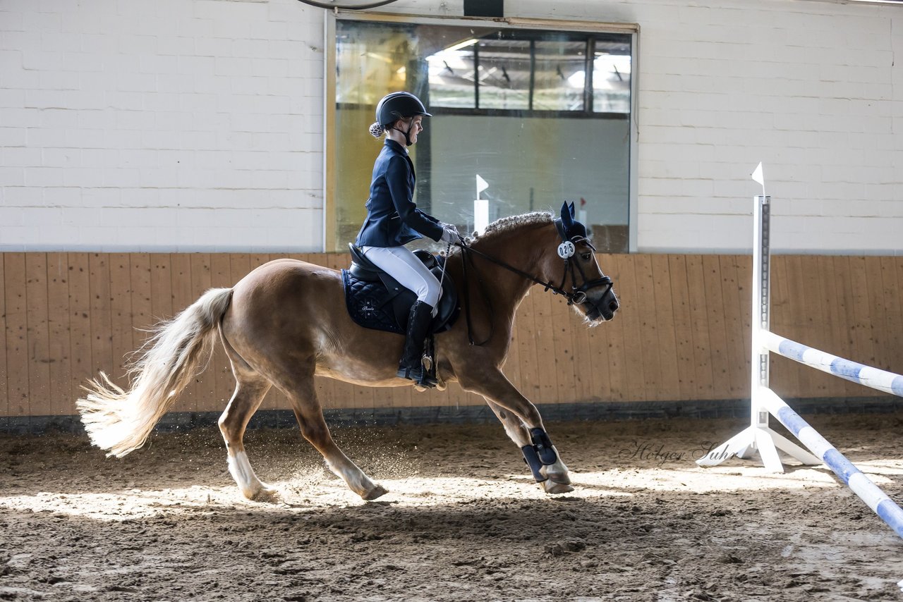 Bild 38 - Pony Akademie Turnier